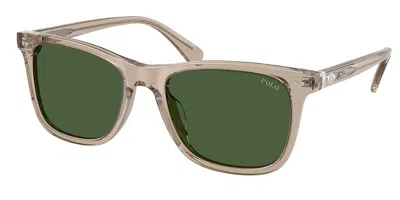 Polo Ralph Lauren Ph4220u 620171 Men's Sunglasses Brown Size 55