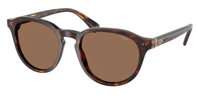 Polo Ralph Lauren Ph4221 613773 Men's Sunglasses Tortoiseshell Size 52 In Brown