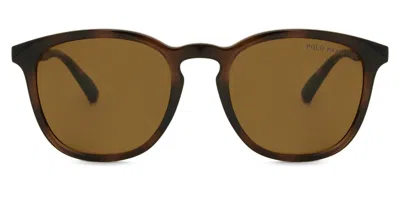 Polo Ralph Lauren Ph4222u Polarized 500383 Men's Sunglasses Tortoiseshell Size 52 In Brown