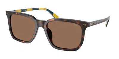 Polo Ralph Lauren Ph4224f Asian Fit 500373 Men's Sunglasses Tortoiseshell Size 55 In Brown