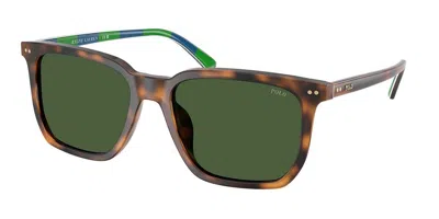 Polo Ralph Lauren Ph4224f Asian Fit 608971 Men's Sunglasses Tortoiseshell Size 55 In Multi
