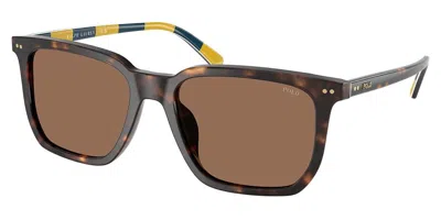 Polo Ralph Lauren Ph4224u 500373 Men's Sunglasses Tortoiseshell Size 55 In Brown
