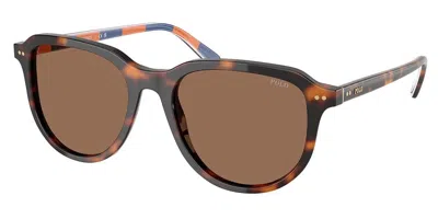 Polo Ralph Lauren Ph4225 613773 Men's Sunglasses Tortoiseshell Size 53 In Brown