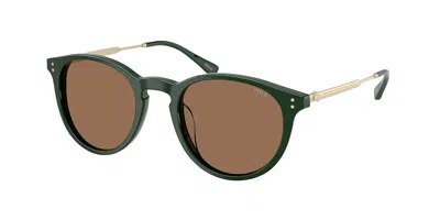 Polo Ralph Lauren Ph4239u 614073 Men's Sunglasses Green Size 50 In Brown
