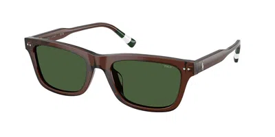 Polo Ralph Lauren Ph4240u 631571 Men's Sunglasses Brown Size 54 In Green