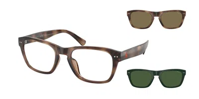 Polo Ralph Lauren Ph4254u With Clip-on 500373 Men's Glasses Tortoiseshell Size 53 - Free Lenses - Blue Light Block Ava In Shiny Dark Tortoise