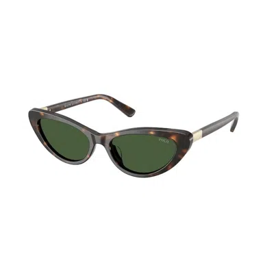 Polo Ralph Lauren Polo Ph4199u 500371 In Brown