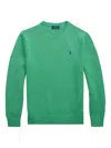 Polo Ralph Lauren Polo Pony Cotton Sweater In Green