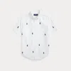 Polo Ralph Lauren Little Boy's & Boy's Logo Embroidered Oxford Short-sleeve Shirt In White/navy