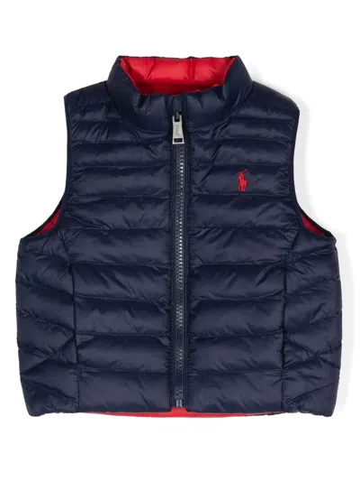Polo Ralph Lauren Babies' Poly Pony Quilted Gilet In Blue