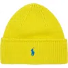Polo Ralph Lauren Pony Beanie In Green