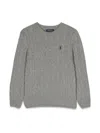 Polo Ralph Lauren Pull Roll In Gray