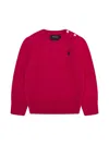 Polo Ralph Lauren Pull Roll In Pink