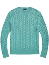 Polo Ralph Lauren Pullover Clothing In Blue