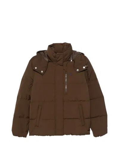 Polo Ralph Lauren Quilted Hooded Jacket In Brown