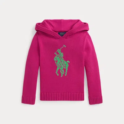 Polo Ralph Lauren Kids' Ralph Lauren Big Pony Cotton Hooded Sweater In Pink