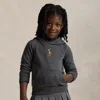 Polo Ralph Lauren Embroidered Equestrian Knight Hoodie In Gray