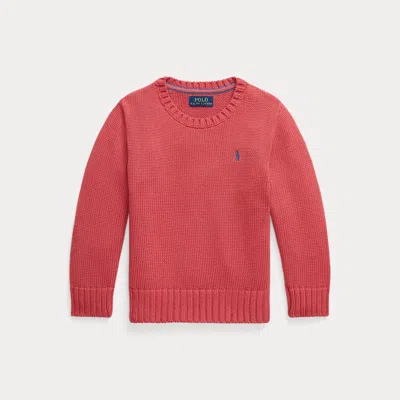 Polo Ralph Lauren Kids' Ralph Lauren Cotton Crewneck Sweater