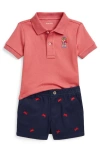 Polo Ralph Lauren Ralph Lauren Crab Embroidered Cotton Polo & Shorts Set In Adirondack Berry
