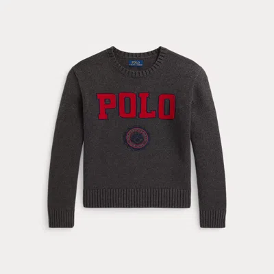 Polo Ralph Lauren Kids' Ralph Lauren Logo Crest Cotton Sweater In Gray