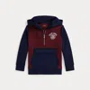 Polo Ralph Lauren Ralph Lauren Logo Double-knit Half-zip Hoodie In Multi