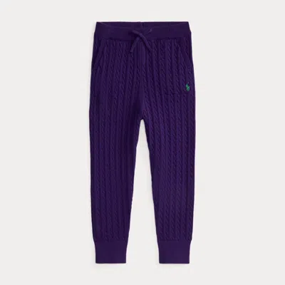 Polo Ralph Lauren Kids' Ralph Lauren Mini-cable Cotton Jogger Pant In Purple