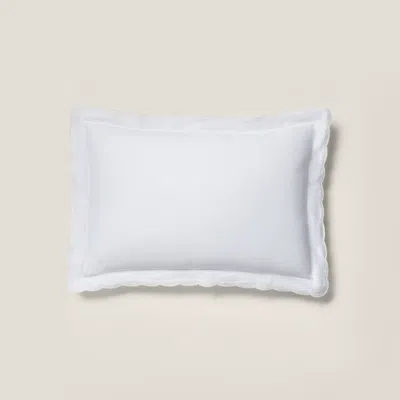Polo Ralph Lauren Organic Cotton Sateen Malin Sham In Parchment