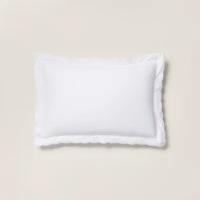 Polo Ralph Lauren Organic Cotton Sateen Malin Sham In Platinum