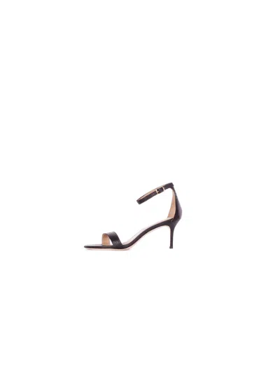 Polo Ralph Lauren Ralph Lauren Sandals In Black
