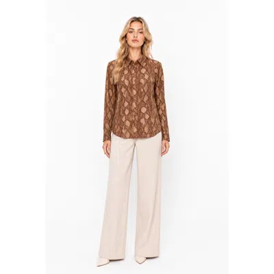 Polo Ralph Lauren Ralph Lauren Shirts In Brown