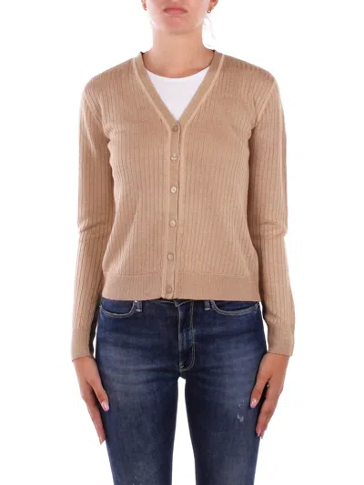 Polo Ralph Lauren Ralph Lauren Sweaters In Marrone Marroni