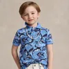 Polo Ralph Lauren Kids' Reef-print Cotton Mesh Polo Shirt In Sunsea Reef Print