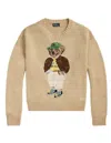 Polo Ralph Lauren Relaxed Fit Cotton Pullover Sweater In Multi