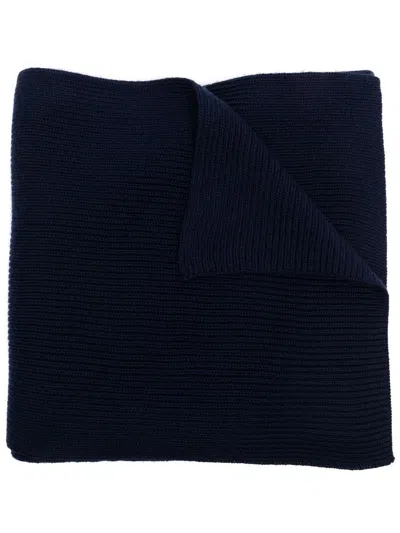 Polo Ralph Lauren Ribbed Knit Wool Scarf In Blue