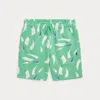 Polo Ralph Lauren Kids' Sailboat-print French Terry Short In Deco Sails Print,green