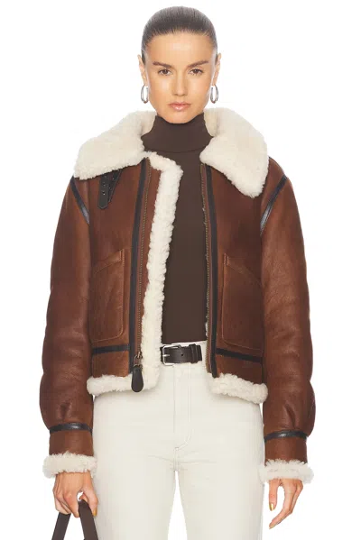 Polo Ralph Lauren Shearling Aviator Jacket In Brown & Cream