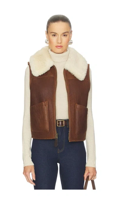 Polo Ralph Lauren Shearling Full-zip Vest In Brown
