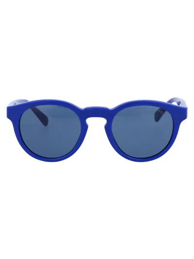 Polo Ralph Lauren Shiny Royal Blue Acetate Sunglasses
