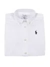 Polo Ralph Lauren Slim Fit-tops-shirt In Multi
