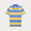 Polo Ralph Lauren Striped Cotton Mesh Polo Shirt In Blue/yellow Multi