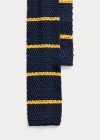 Polo Ralph Lauren Striped Knit Silk Tie In Navy/gold