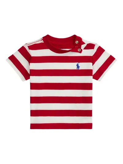 Polo Ralph Lauren Babies' Striped Logo-embroidered T-shirt In Red