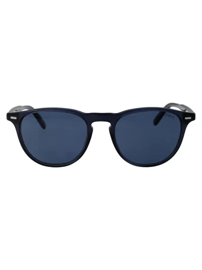 POLO RALPH LAUREN POLO RALPH LAUREN SUNGLASSES
