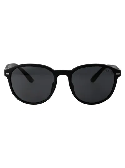 POLO RALPH LAUREN POLO RALPH LAUREN SUNGLASSES