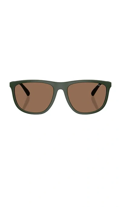 Polo Ralph Lauren Sunglasses In Brown