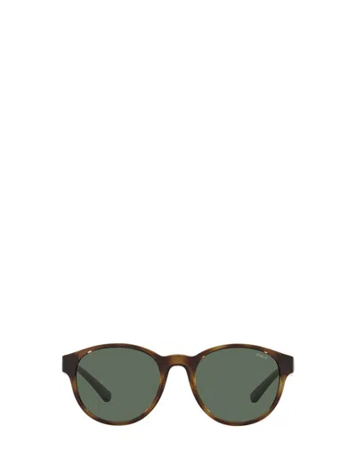 Polo Ralph Lauren Sunglasses In Brown