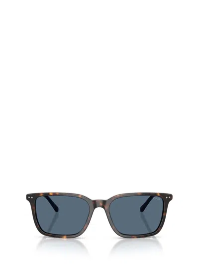 Polo Ralph Lauren Sunglasses In Brown