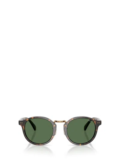 Polo Ralph Lauren Sunglasses In Brown