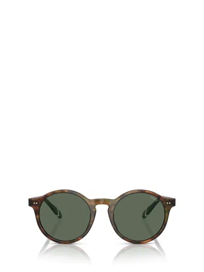 Polo Ralph Lauren Sunglasses In Shiny Brown Tortoise