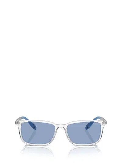 Polo Ralph Lauren Sunglasses In Shiny Crystal